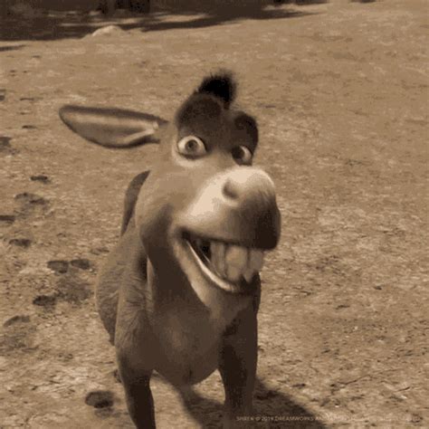 Make your own images with our Meme Generator or Animated <b>GIF</b> Maker. . Donkey smile gif